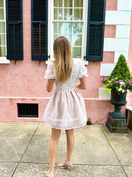 Cupcake Lace Dress