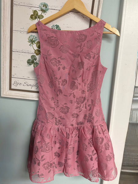 Alden Pink Dress